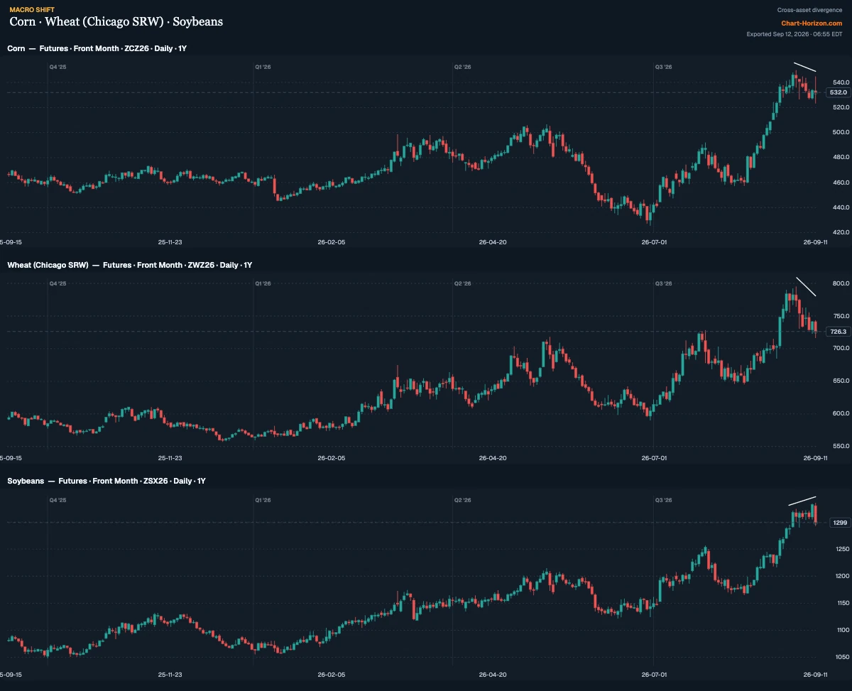 December corn, December Chicago wheat and November soybean futures, daily, one year: after the late-August surge, lines across corn's and wheat's recent highs slope down while the line across soybeans' highs slopes up, ending in Friday's long red bar